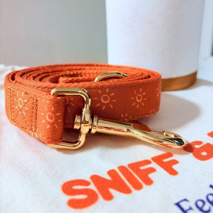 Amber Suns Signature Band™ + Slide-On Dappertie™ + Joyline™ Bowtie Collar & Leash Set Sniff & Bark™