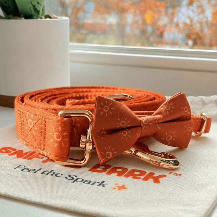 Amber Suns Signature Band™ + Slide-On Dappertie™ + Joyline™ Bowtie Collar & Leash Set Sniff & Bark™