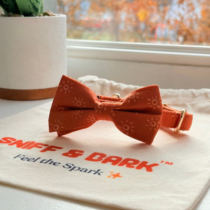 Amber Suns Signature Band™ + Slide-On Dappertie™ + Joyline™ Bowtie Collar & Leash Set Sniff & Bark™