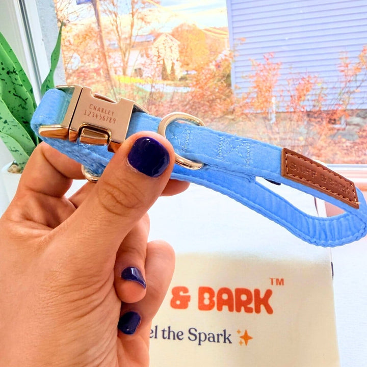 Baby Blue Signature Band™ - Crafted Collar Collar Only Sniff & Bark™