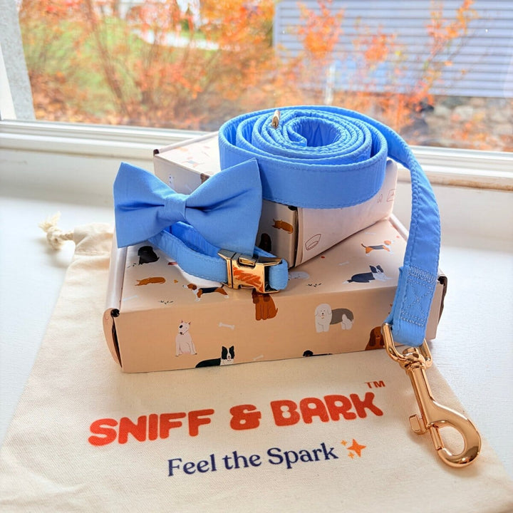 Baby Blue Signature Band™ + Slide-On Dappertie™ + Joyline™ Bowtie Collar & Leash Set Sniff & Bark™