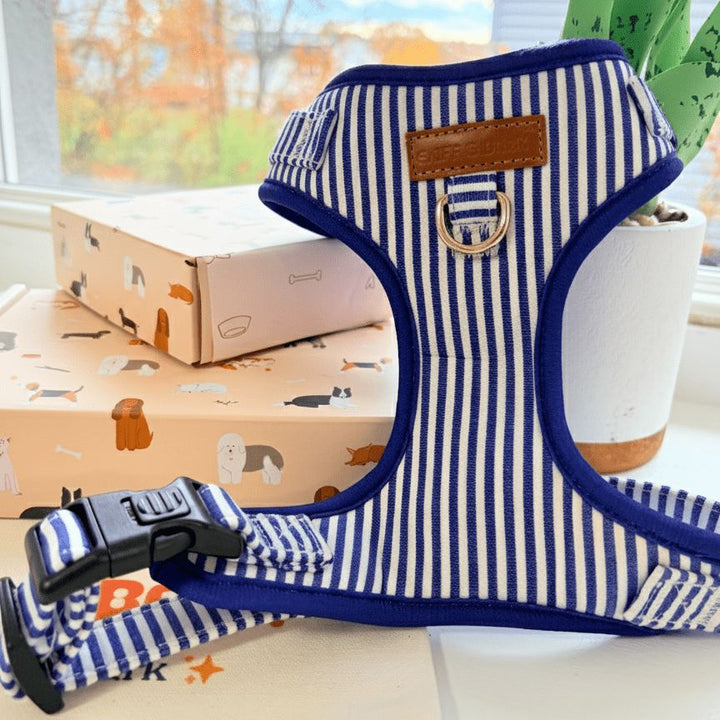 Blue Stripes AllSet™ Harness – Adjustable Bliss (D Ring) Harness Sniff & Bark™