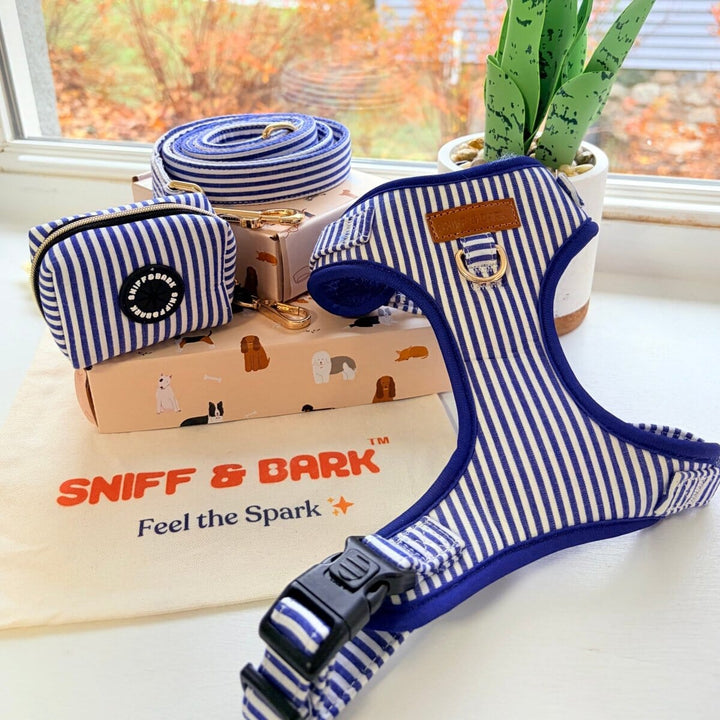 Blue Stripes AllSet™ Harness Matching Bundle (D Ring) Bundle Sniff & Bark™
