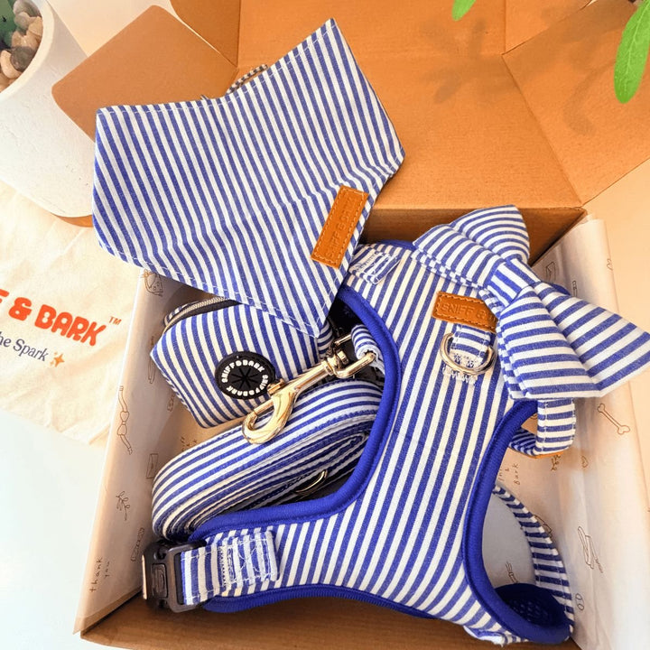 Blue Stripes Dappertie™ - Mega Bundle Match (D Ring) Bow Mega Bundles Sniff & Bark™