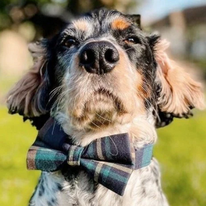 Gentleman Signature Band™ + Slide-On Dappertie™ + Joyline™