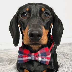 Crimson Navy Plaid Signature Band™ + Slide-On Dappertie™