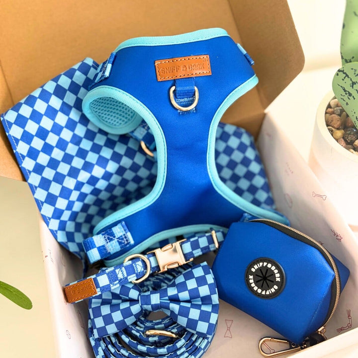 Checker Blue Dappertie™ - Mega Bundle Match (D Ring) Bow Mega Bundles Sniff & Bark™