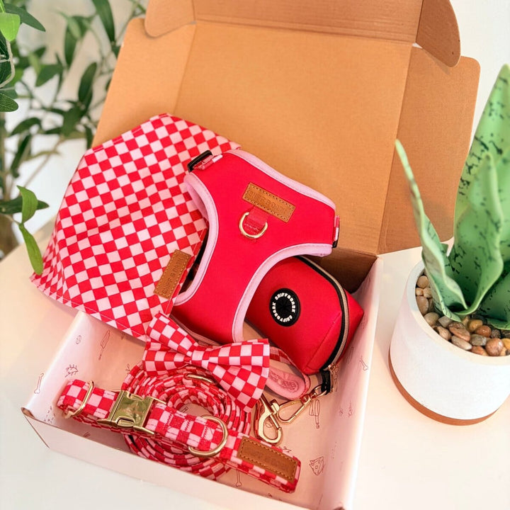Checker Pink Dappertie™ - Mega Bundle Match (D Ring) Bow Mega Bundles Sniff & Bark™