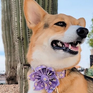 Purple Daisy Signature Band™ + Slide-On Bloomtie™