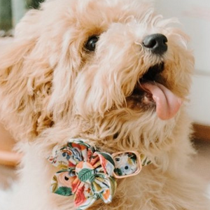 Morning Floral Signature Band™ + Slide-On Bloomtie™