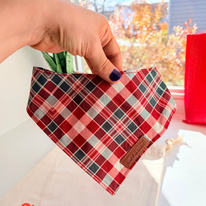 Garent Plaid Flairtie™ Bandana – 100% Cotton Bandanas Sniff & Bark™