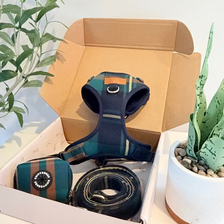 Gentleman AllSet™ Harness Matching Bundle (D Ring) Bundle Sniff & Bark™