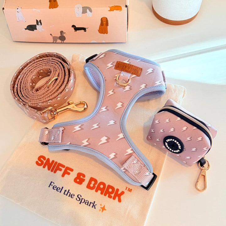 Lightnings AllSet™ Harness Matching Bundle (D Ring) Bundle Sniff & Bark™