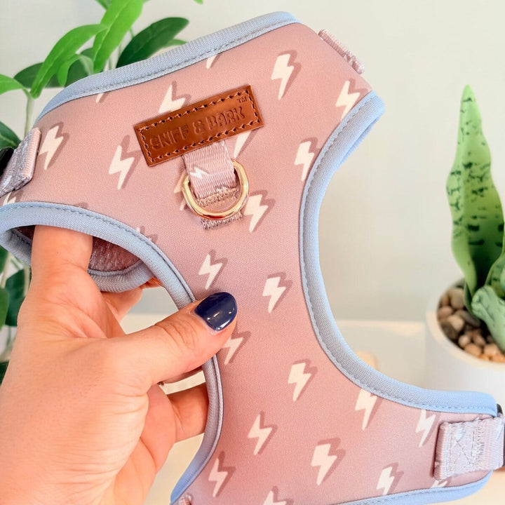 Lightnings Dappertie™ - Mega Bundle Match (D Ring) Bow Mega Bundles Sniff & Bark™