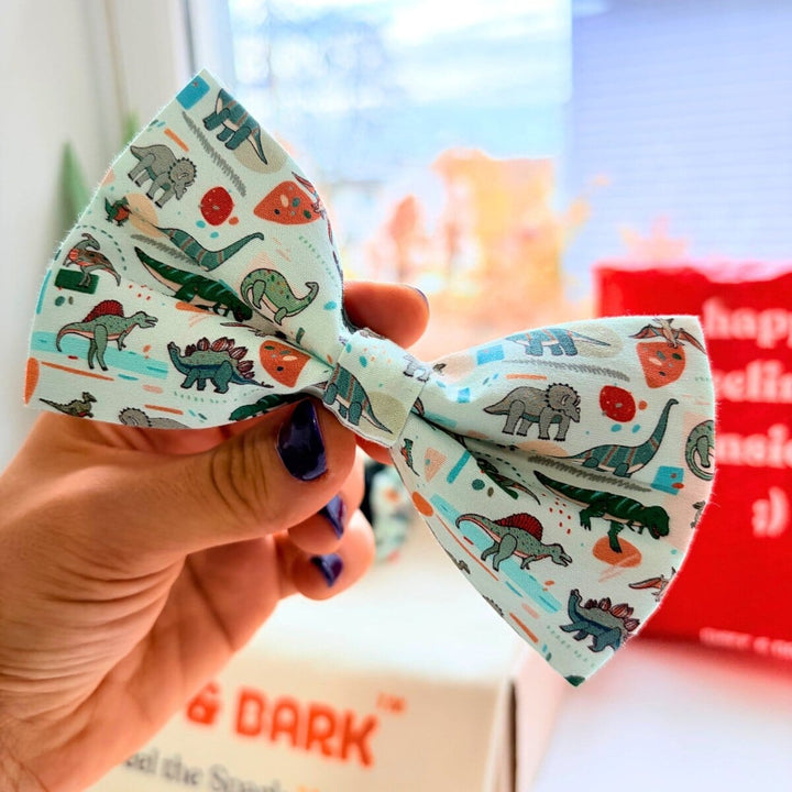 Mint Snappy Dino Dappertie™ – Sleek Slide-On Bowtie Bowties Sniff & Bark™