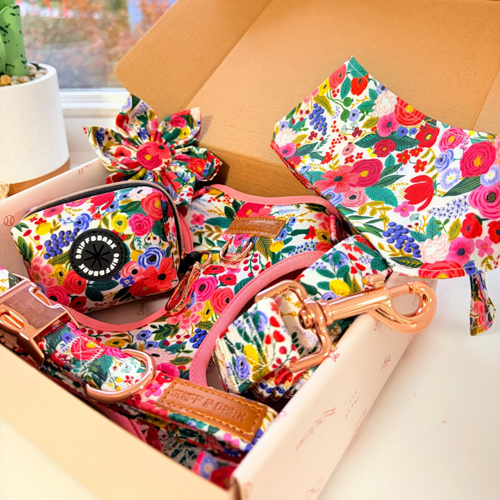 Morning Floral Signature Bloomtie™ - Mega Bundle (D Ring) Flower Mega Bundle Sniff & Bark™