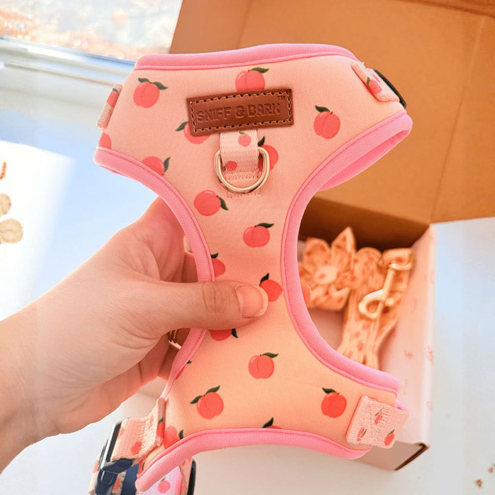Peach Blush AllSet™ Harness – Adjustable Bliss (D Ring) Harness Sniff & Bark™