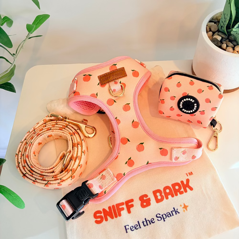 Safe & Adorable Dog Lockable Harness™, Unbreakable Leash™, And