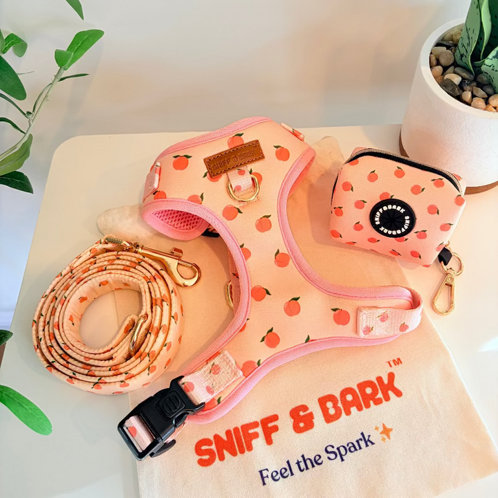 Peach Blush AllSet™ Harness Matching Bundle (D Ring) Bundle Sniff & Bark™
