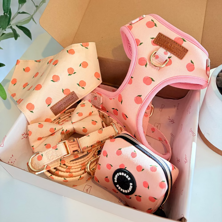 Peach Blush Dappertie™ - Mega Bundle Match (D Ring) Bow Mega Bundles Sniff & Bark™