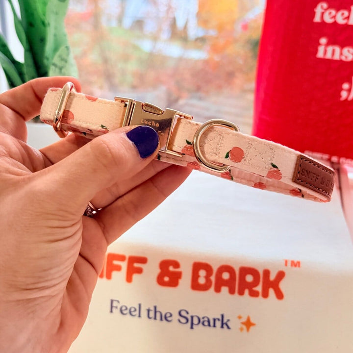 Peach Blush Signature Band™ - Crafted Collar Collar Only Sniff & Bark™