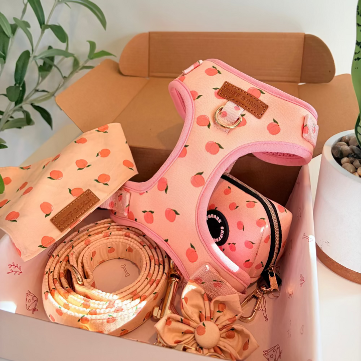 Peach Blush Signature Bloomtie™ - Mega Bundle (D Ring) Flower Mega Bundle Sniff & Bark™