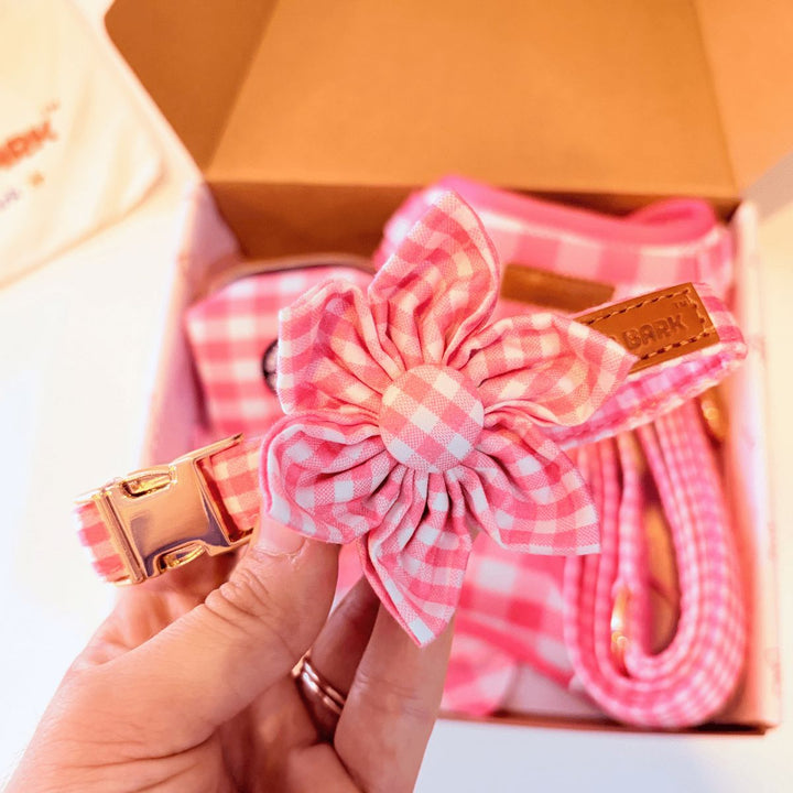 Pink Gingham Signature Band™ + Slide-On Bloomtie™ + Joyline™ Flower Collar & Leash Set Sniff & Bark™