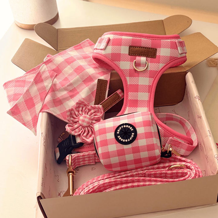 Pink Gingham Signature Bloomtie™ - Mega Bundle (D Ring) Flower Mega Bundle Sniff & Bark™