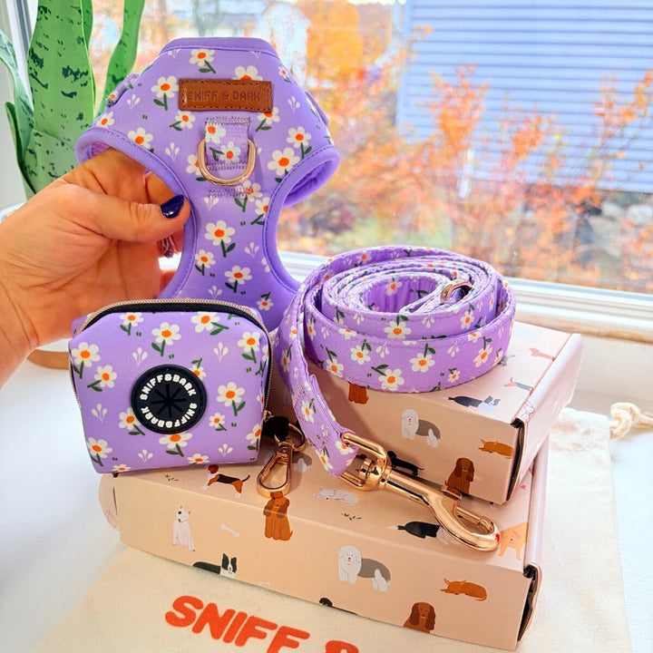 Purple Daisy AllSet™ Harness Matching Bundle (D Ring) Bundle Sniff & Bark™