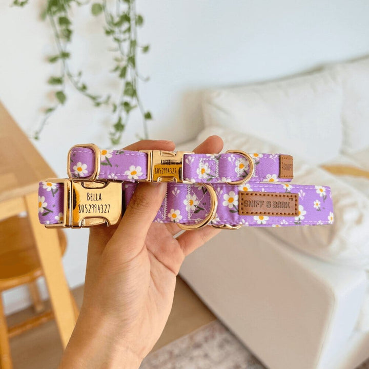 Purple Daisy Signature Band™ - Crafted Collar Collar Only Sniff & Bark™
