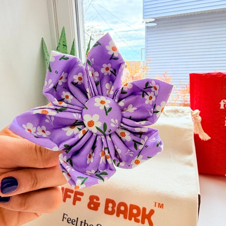 Purple Daisy Signature Bloomtie™ - Flower Tie Flower Only Sniff & Bark™