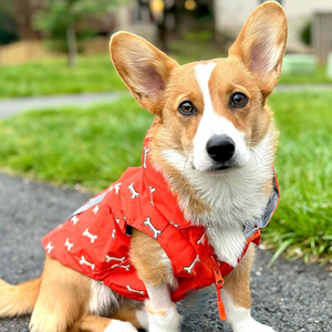 Coral Fetch Reversible Zoomies Rain Vest™