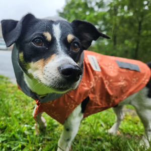 Amber Suns Reversible Zoomies Rain Vest™