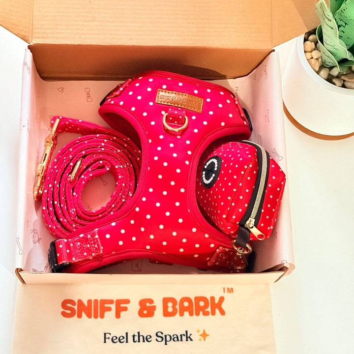 Red Polka Dot AllSet™ Harness Matching Bundle (D Ring) Bundle Sniff & Bark™