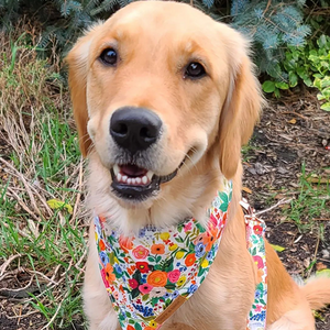 Morning Floral Flairtie™ Bandana – 100% Cotton