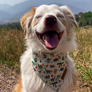 Mint Snappy Dino Flairtie™ Bandana – 100% Cotton