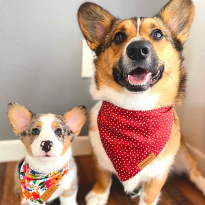 Red Polka Dot Flairtie™ Bandana – 100% Cotton
