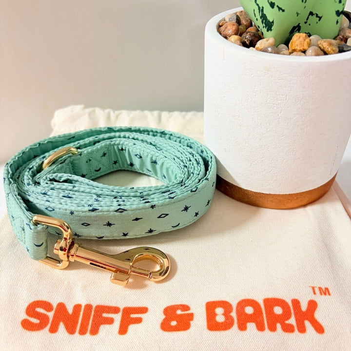 Teal Stars AllSet™ Harness Matching Bundle (D Ring) Bundle Sniff & Bark™