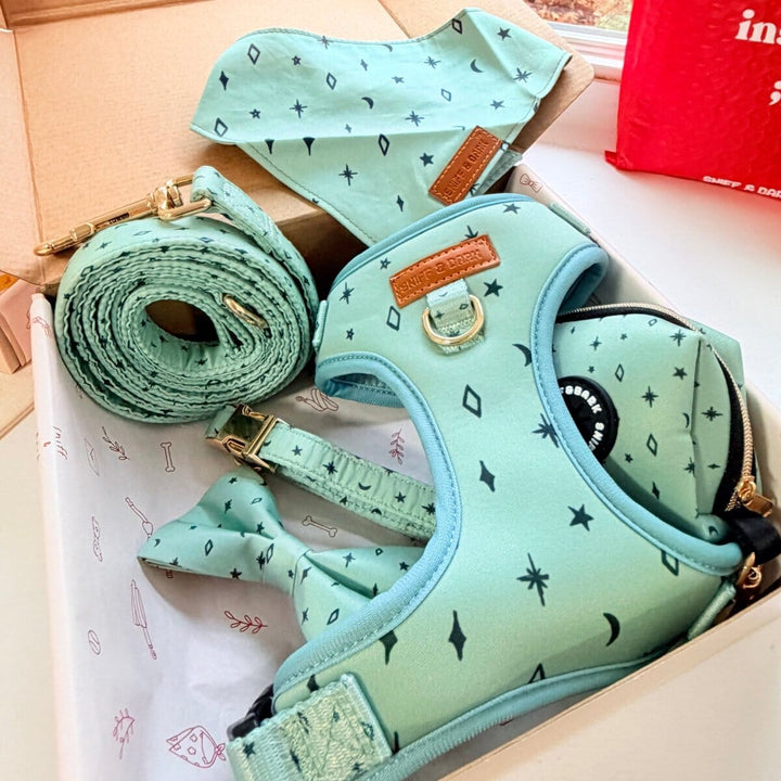 Teal Stars Dappertie™ - Mega Bundle Match (D Ring) Bow Mega Bundles Sniff & Bark™