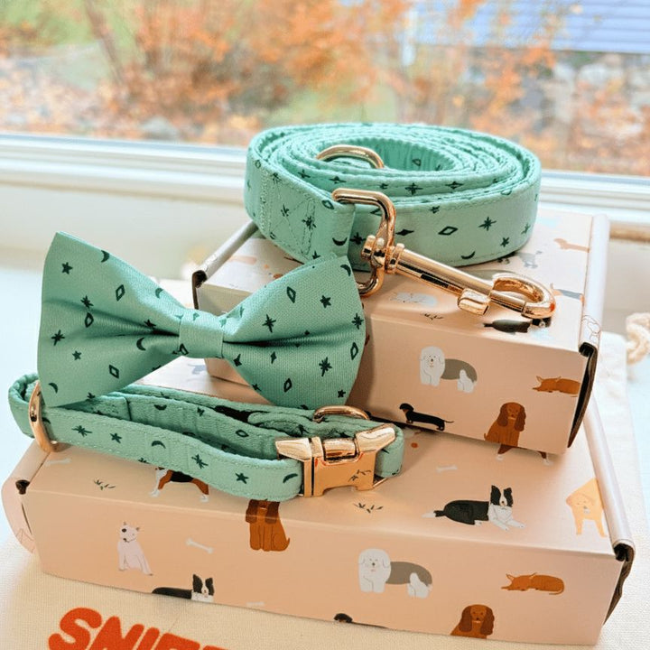 Teal Stars Signature Band™ + Slide-On Dappertie™ + Joyline™ Bowtie Collar & Leash Set Sniff & Bark™