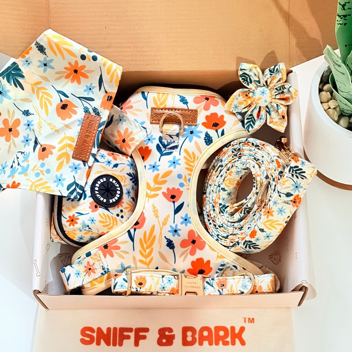 Yellow Floral Signature Bloomtie™ - Mega Bundle (D Ring) Flower Mega Bundle Sniff & Bark™