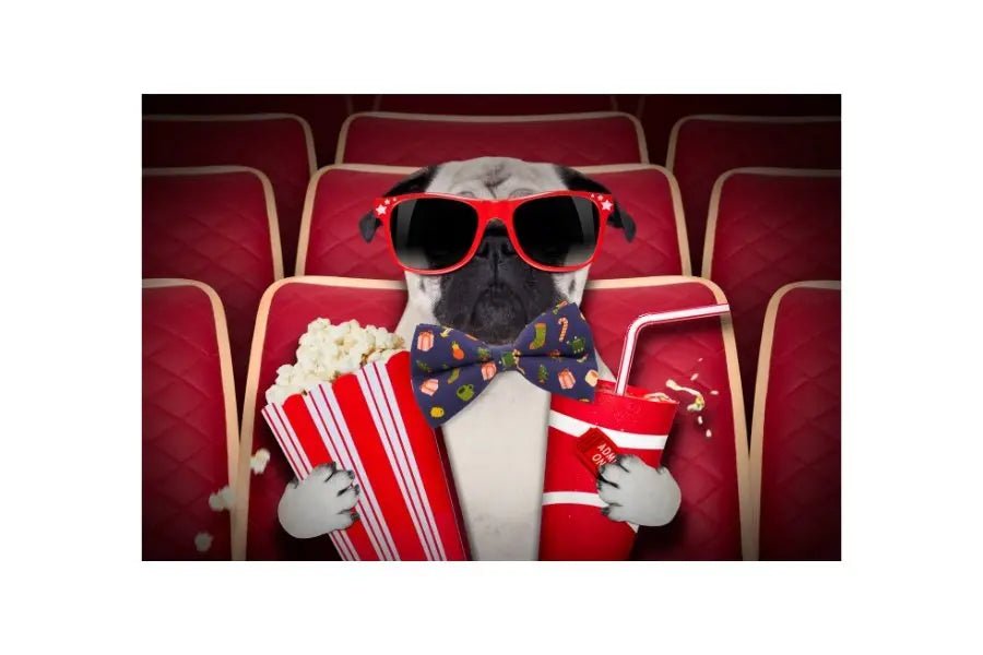 Family-friendly Movies with Dogs You Can Watch During the Holiday Break