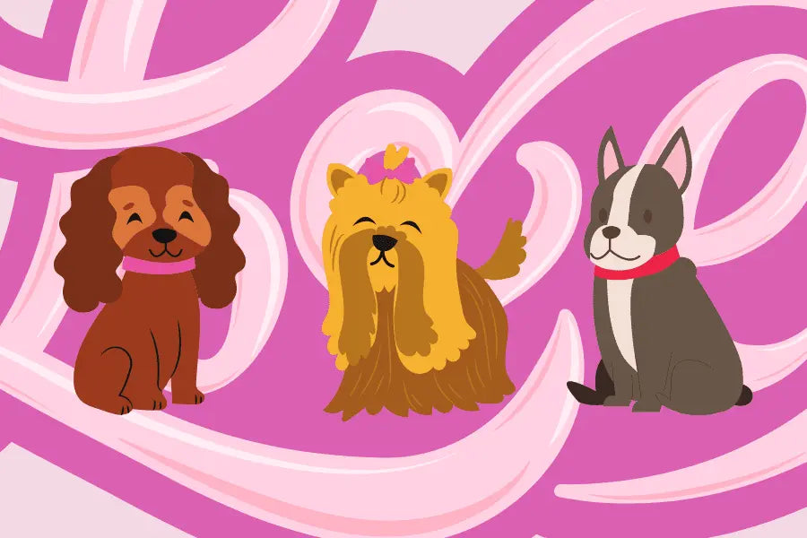 Woof Woof! It's National Adopt a Shelter Pet Day!