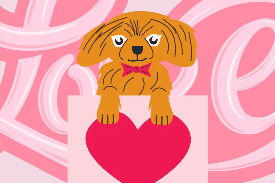Valentine's Special: 7 Ways Your Dog Shows You Love