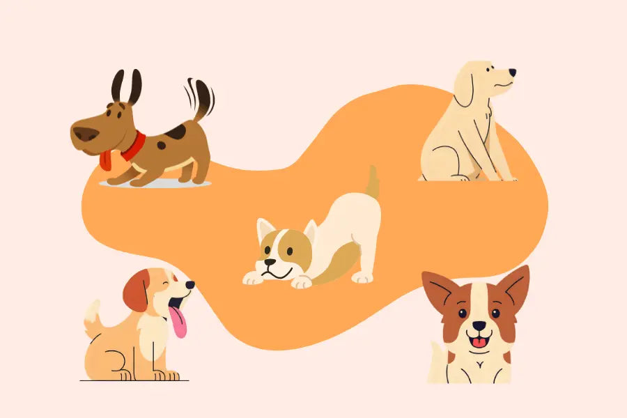 5 Common Dog Body Language Cues — Decoded