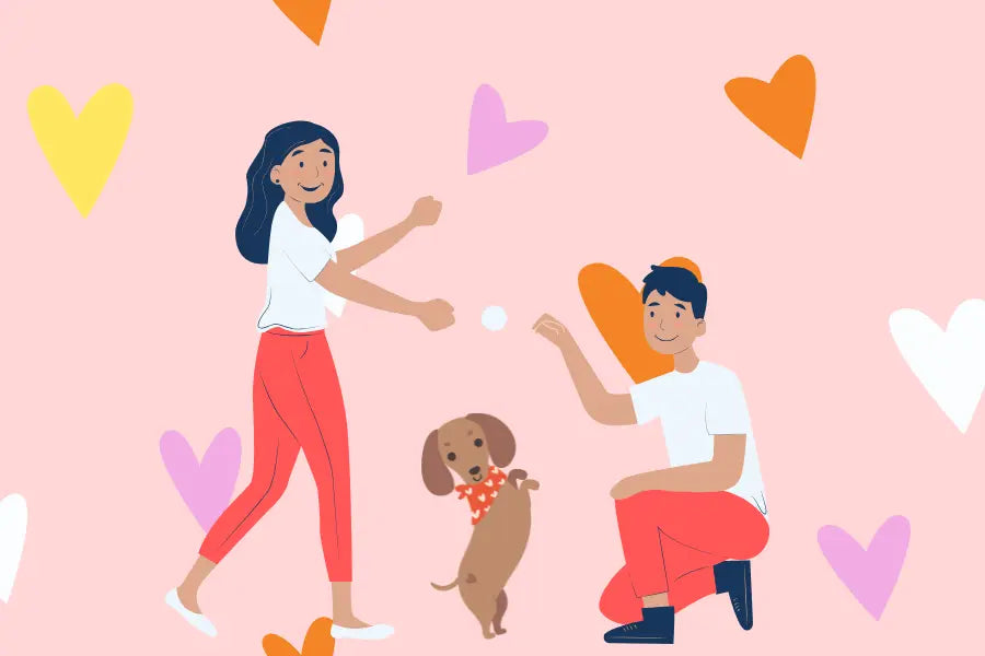 6 Ways to Celebrate Valentine's Day with Your Dog