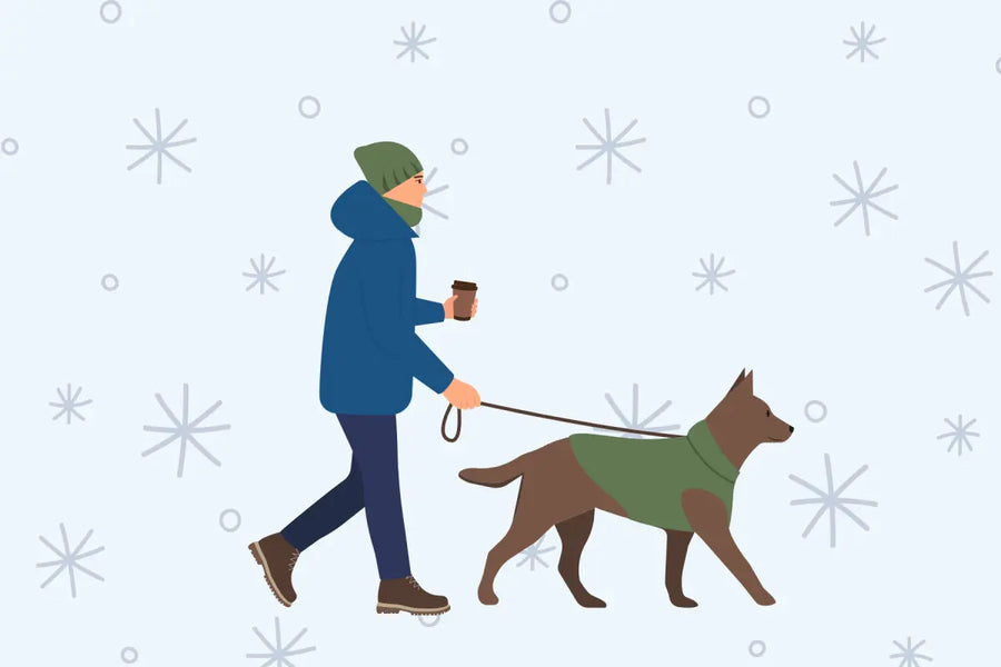 5 Ways to Protect Your Pup’s Joints This Winter