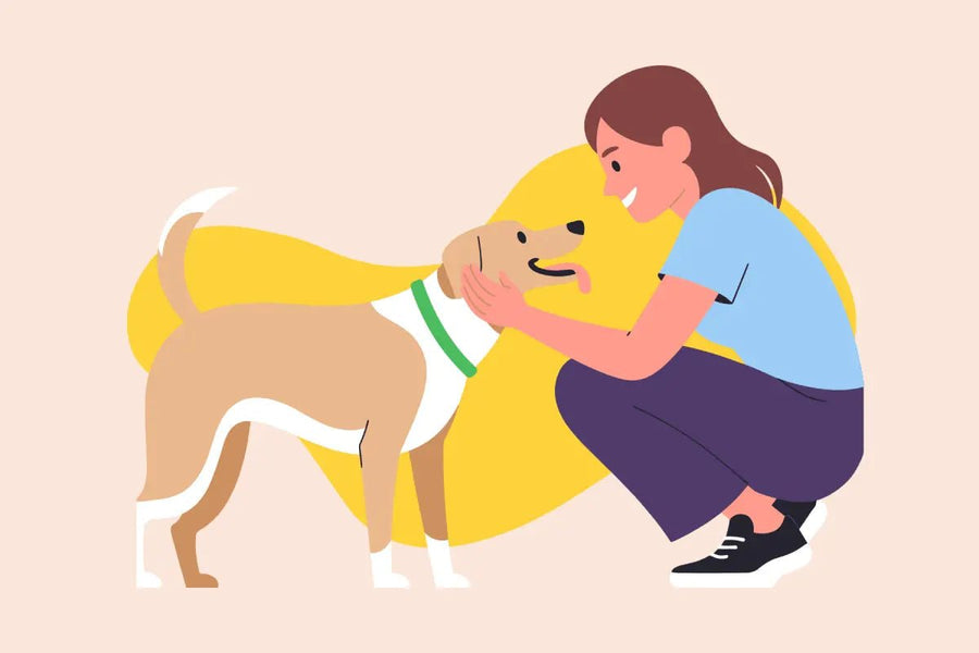 5 Ways to Strengthen Your Bond With Your Dog