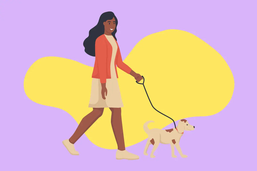 5 Things Your Dog Wishes You Knew About Walks