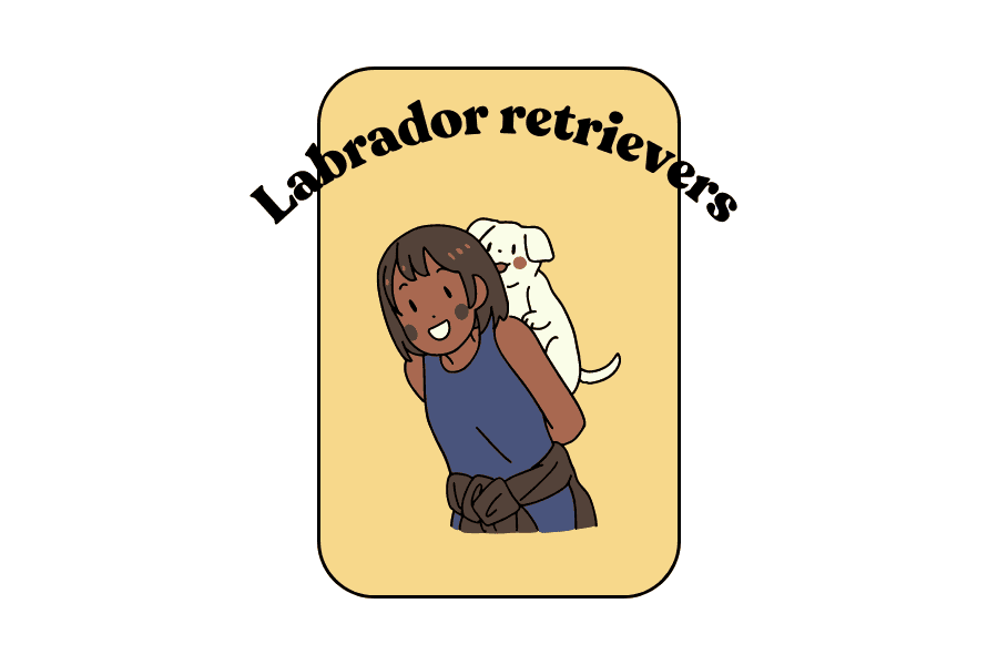 Oddball Facts About the Lovable Lab